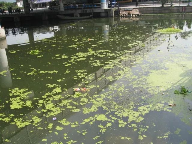 城市黑臭河道如何治理？河道黑臭水体治理思路