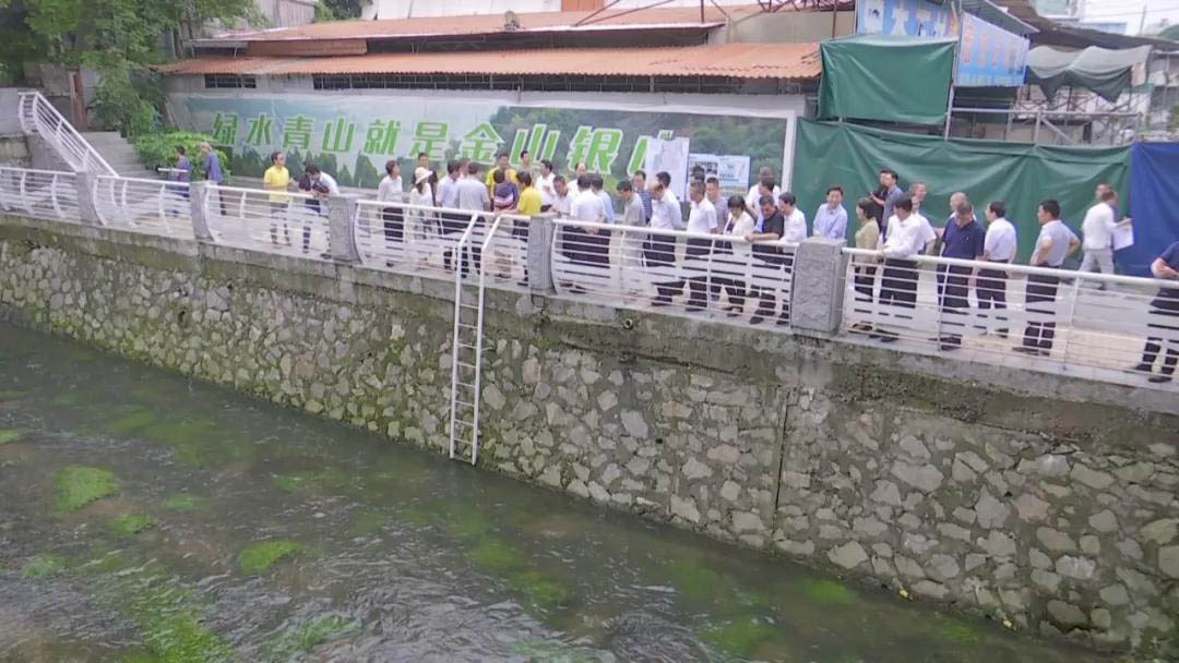 广州市治理河道黑臭水体治理经验分享